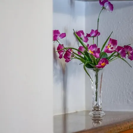 Mini Brac St Apartamento Postira